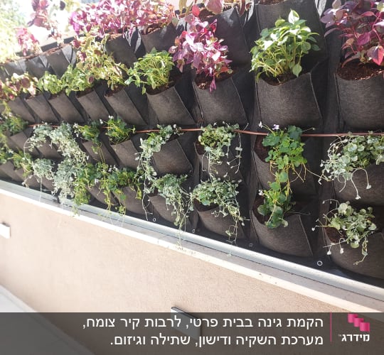 קיר ירוק מודולרי עם כיסי בד צמחייה ומערכת השקיה